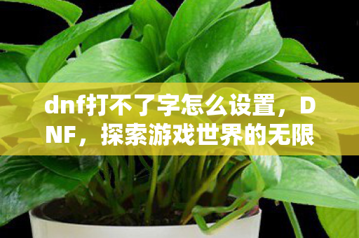 dnf打不了字怎么设置,DNF,探索游戏世界的无限可能 dnf打不了字怎么设置,DNF,探索游戏世界的无限可能