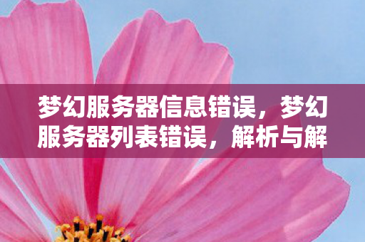 梦幻服务器信息错误，梦幻服务器列表错误，解析与解决之道