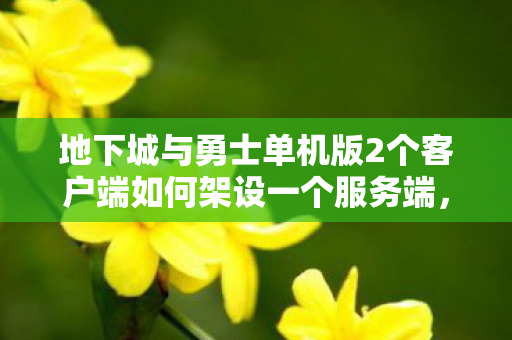 地下城与勇士单机版2个客户端如何架设一个服务端，单机版2，重温经典，地下城与勇士的单机之旅