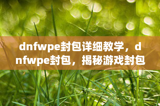 dnfwpe封包详细教学,dnfwpe封包,揭秘游戏封包技术的奥秘 dnfwpe封包详细教学,dnfwpe封包,揭秘游戏封包技术的奥秘