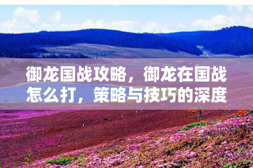 御龙国战攻略,御龙在国战怎么打,策略与技巧的深度剖析 御龙国战攻略,御龙在国战怎么打,策略与技巧的深度剖析