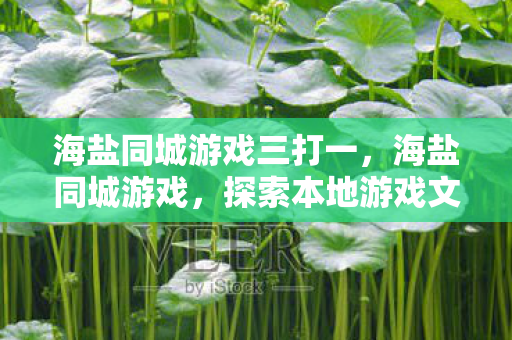 海盐同城游戏三打一,海盐同城游戏,探索本地游戏文化的独特魅力 海盐同城游戏三打一,海盐同城游戏,探索本地游戏文化的独特魅力