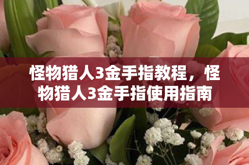 怪物猎人3金手指教程,怪物猎人3金手指使用指南 怪物猎人3金手指教程,怪物猎人3金手指使用指南