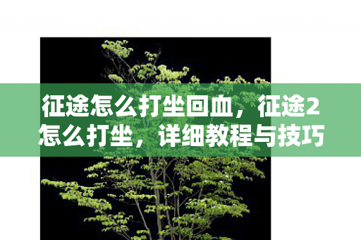 征途怎么打坐回血,征途2怎么打坐,详细教程与技巧分享 征途怎么打坐回血,征途2怎么打坐,详细教程与技巧分享