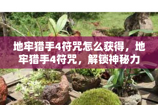 地牢猎手4符咒怎么获得,地牢猎手4符咒,解锁神秘力量的秘宝 地牢猎手4符咒怎么获得,地牢猎手4符咒,解锁神秘力量的秘宝