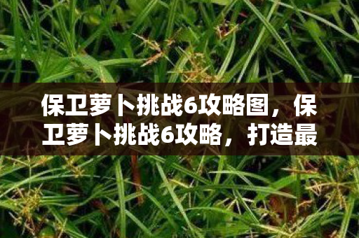 保卫萝卜挑战6攻略图,保卫萝卜挑战6攻略,打造最强防御阵容 保卫萝卜挑战6攻略图,保卫萝卜挑战6攻略,打造最强防御阵容