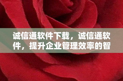 诚信通软件下载，诚信通软件，提升企业管理效率的智能工具