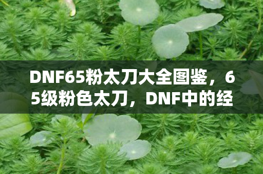 DNF65粉太刀大全图鉴,65级粉色太刀,DNF中的经典武器 DNF65粉太刀大全图鉴,65级粉色太刀,DNF中的经典武器