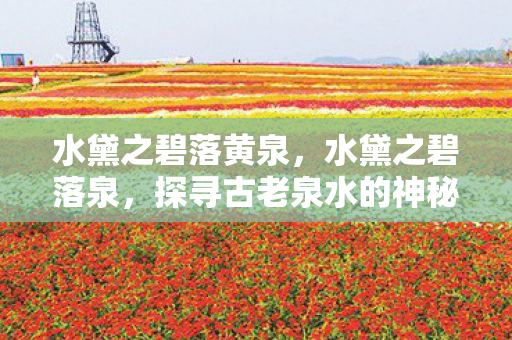 水黛之碧落黄泉,水黛之碧落泉,探寻古老泉水的神秘之旅 水黛之碧落黄泉,水黛之碧落泉,探寻古老泉水的神秘之旅