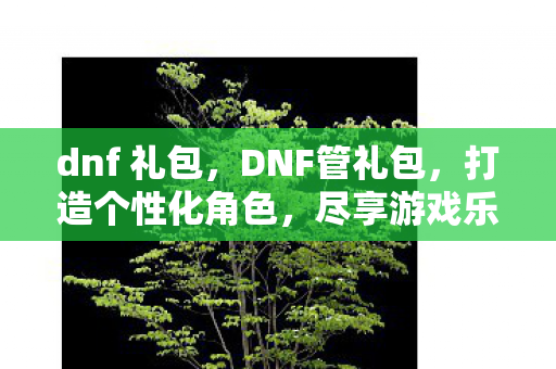 dnf 礼包,DNF管礼包,打造个性化角色,尽享游戏乐趣 dnf 礼包,DNF管礼包,打造个性化角色,尽享游戏乐趣