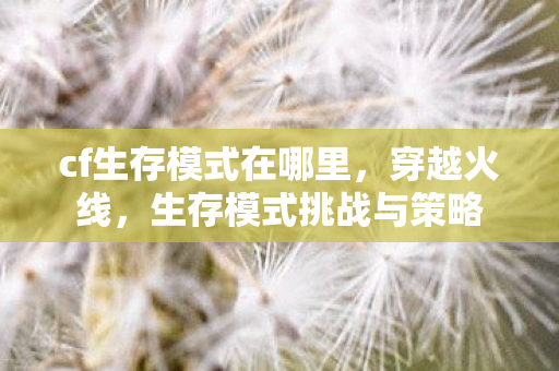 cf生存模式在哪里,穿越火线,生存模式挑战与策略 cf生存模式在哪里,穿越火线,生存模式挑战与策略