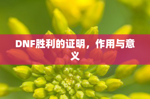 DNF胜利的证明,作用与意义 DNF胜利的证明,作用与意义