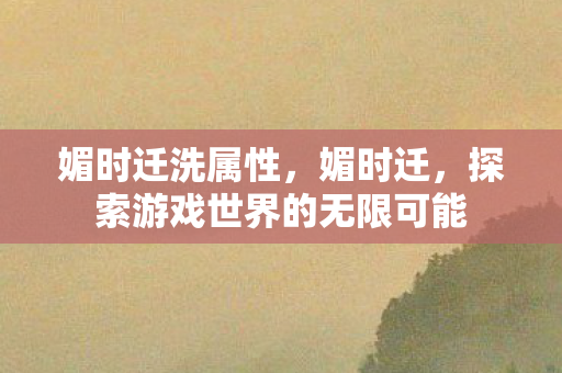 媚时迁洗属性,媚时迁,探索游戏世界的无限可能 媚时迁洗属性,媚时迁,探索游戏世界的无限可能