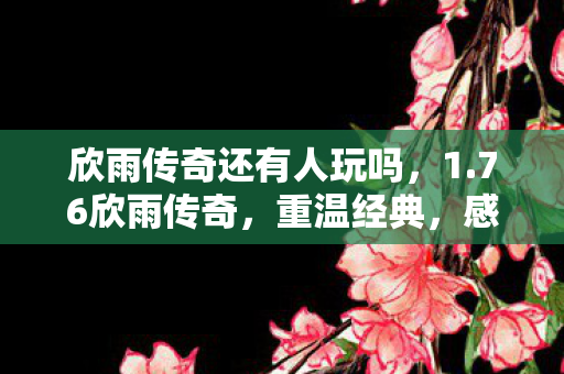 欣雨传奇还有人玩吗，1.76欣雨传奇，重温经典，感受传奇的魅力