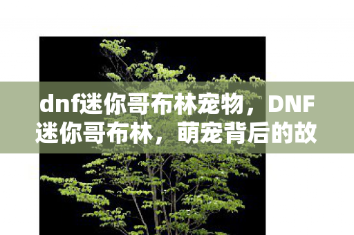 dnf迷你哥布林宠物,DNF迷你哥布林,萌宠背后的故事与游戏文化 dnf迷你哥布林宠物,DNF迷你哥布林,萌宠背后的故事与游戏文化