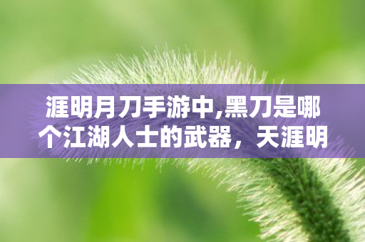 涯明月刀手游中,黑刀是哪个江湖人士的武器，天涯明月刀37，探索江湖的无限可能