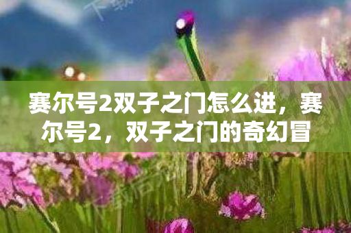 赛尔号2双子之门怎么进,赛尔号2,双子之门的奇幻冒险 赛尔号2双子之门怎么进,赛尔号2,双子之门的奇幻冒险