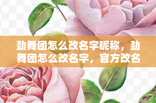 劲舞团怎么改名字昵称,劲舞团怎么改名字,官方改名指南与注意事项 劲舞团怎么改名字昵称,劲舞团怎么改名字,官方改名指南与注意事项