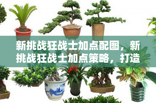 新挑战狂战士加点配图,新挑战狂战士加点策略,打造最强战斗力的关键 新挑战狂战士加点配图,新挑战狂战士加点策略,打造最强战斗力的关键