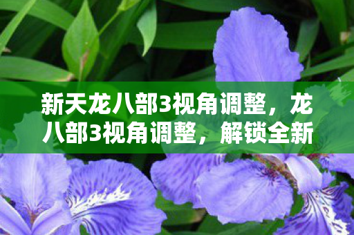 新天龙八部3视角调整,龙八部3视角调整,解锁全新游戏体验 新天龙八部3视角调整,龙八部3视角调整,解锁全新游戏体验