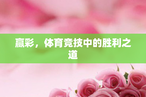赢彩,体育竞技中的胜利之道 赢彩,体育竞技中的胜利之道
