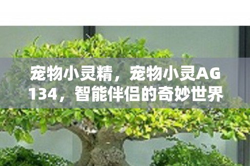宠物小灵精，宠物小灵AG134，智能伴侣的奇妙世界
