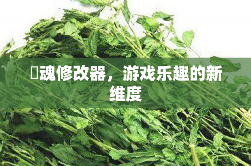 囧魂修改器,游戏乐趣的新维度 囧魂修改器,游戏乐趣的新维度
