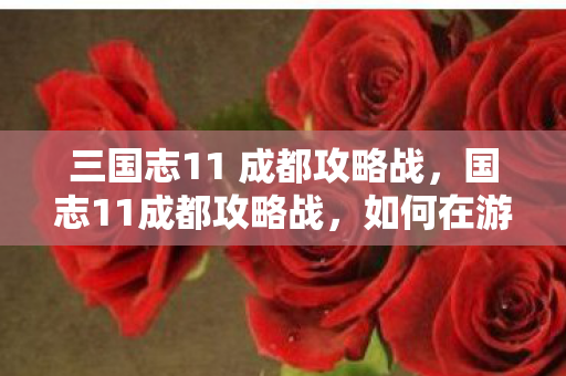 三国志11 成都攻略战，国志11成都攻略战，如何在游戏中征服天府之国
