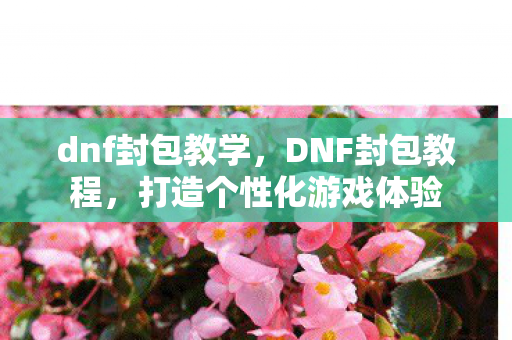 dnf封包教学,DNF封包教程,打造个性化游戏体验 dnf封包教学,DNF封包教程,打造个性化游戏体验