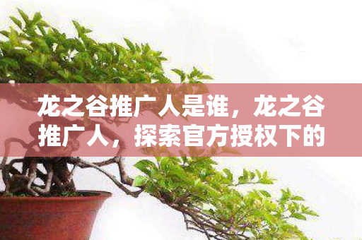 龙之谷推广人是谁,龙之谷推广人,探索官方授权下的游戏推广之路 龙之谷推广人是谁,龙之谷推广人,探索官方授权下的游戏推广之路