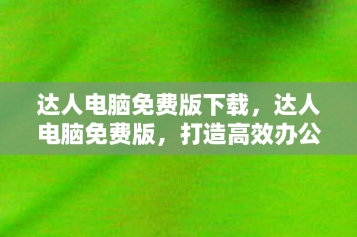 达人电脑免费版下载，达人电脑免费版，打造高效办公新体验