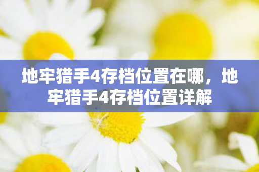 地牢猎手4存档位置在哪，地牢猎手4存档位置详解