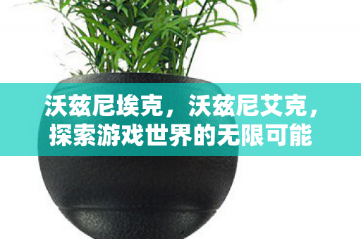 沃兹尼埃克,沃兹尼艾克,探索游戏世界的无限可能 沃兹尼埃克,沃兹尼艾克,探索游戏世界的无限可能