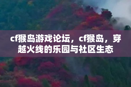 cf猴岛游戏论坛，cf猴岛，穿越火线的乐园与社区生态