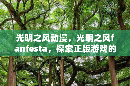 光明之风动漫,光明之风fanfesta,探索正版游戏的魅力与乐趣 光明之风动漫,光明之风fanfesta,探索正版游戏的魅力与乐趣