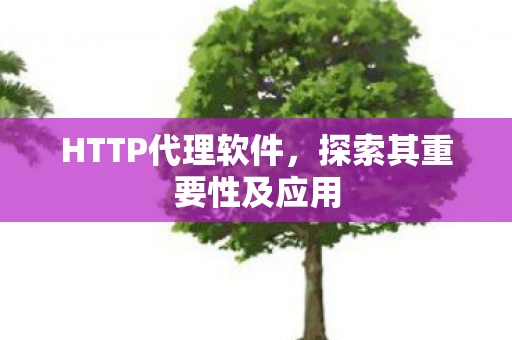 HTTP代理软件,探索其重要性及应用 HTTP代理软件,探索其重要性及应用