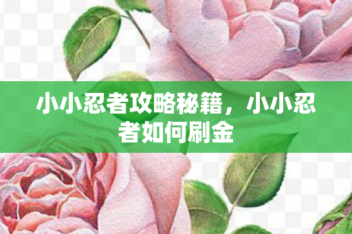 小小忍者攻略秘籍,小小忍者如何刷金 小小忍者攻略秘籍,小小忍者如何刷金