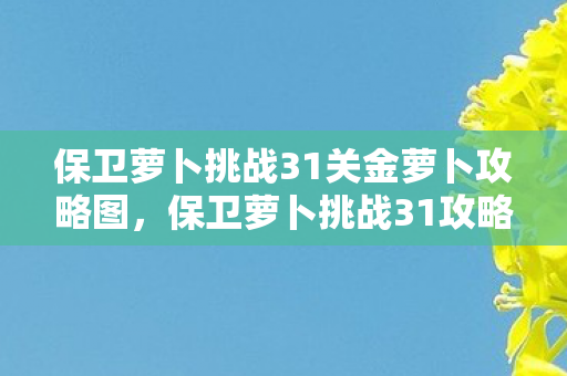 保卫萝卜挑战31关金萝卜攻略图，保卫萝卜挑战31攻略金萝卜布阵图