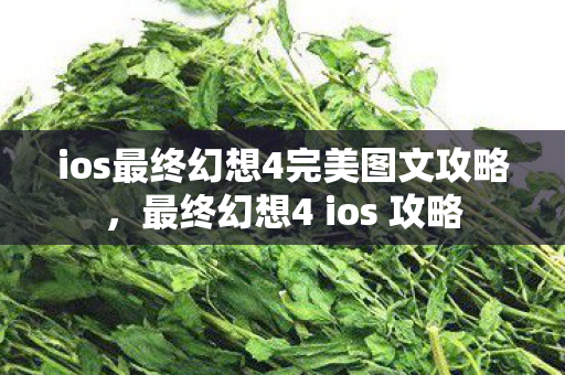ios最终幻想4完美图文攻略,最终幻想4 ios 攻略 ios最终幻想4完美图文攻略,最终幻想4 ios 攻略