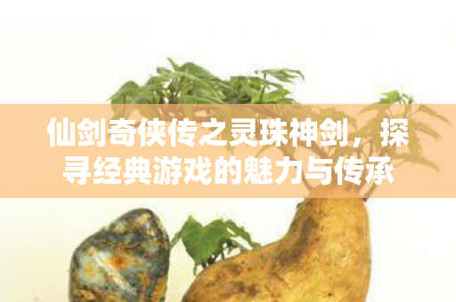 仙剑奇侠传之灵珠神剑,探寻经典游戏的魅力与传承 仙剑奇侠传之灵珠神剑,探寻经典游戏的魅力与传承