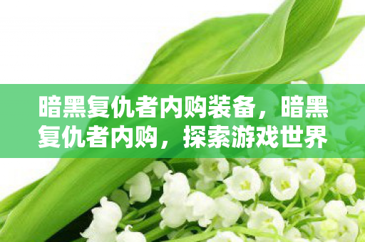 暗黑复仇者内购装备,暗黑复仇者内购,探索游戏世界的无限可能 暗黑复仇者内购装备,暗黑复仇者内购,探索游戏世界的无限可能