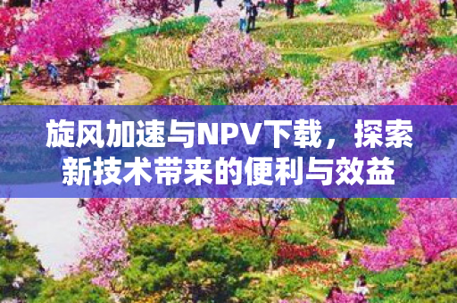 旋风加速与NPV下载,探索新技术带来的便利与效益 旋风加速与NPV下载,探索新技术带来的便利与效益