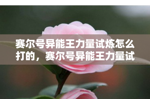 赛尔号异能王力量试炼怎么打的,赛尔号异能王力量试炼攻略,打造不败战绩 赛尔号异能王力量试炼怎么打的,赛尔号异能王力量试炼攻略,打造不败战绩