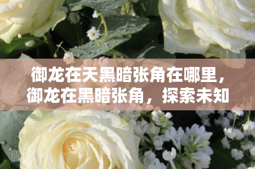 御龙在天黑暗张角在哪里,御龙在黑暗张角,探索未知世界的奇幻之旅 御龙在天黑暗张角在哪里,御龙在黑暗张角,探索未知世界的奇幻之旅