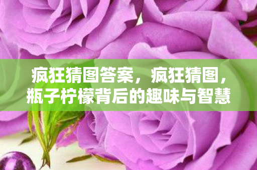 疯狂猜图答案,疯狂猜图,瓶子柠檬背后的趣味与智慧 疯狂猜图答案,疯狂猜图,瓶子柠檬背后的趣味与智慧