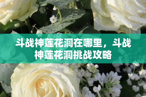 斗战神莲花洞在哪里，斗战神莲花洞挑战攻略