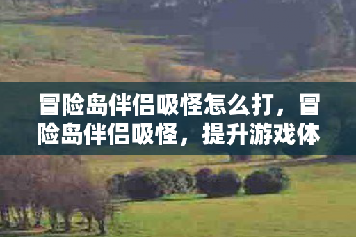 冒险岛伴侣吸怪怎么打，冒险岛伴侣吸怪，提升游戏体验的神奇工具