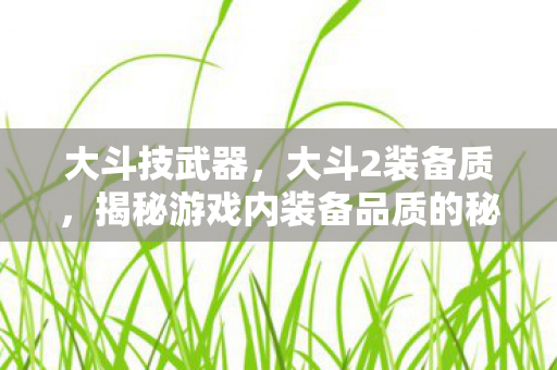 大斗技武器,大斗2装备质,揭秘游戏内装备品质的秘密 大斗技武器,大斗2装备质,揭秘游戏内装备品质的秘密