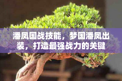 潘凤国战技能,梦国潘凤出装,打造最强战力的关键 潘凤国战技能,梦国潘凤出装,打造最强战力的关键