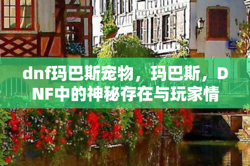 dnf玛巴斯宠物，玛巴斯，DNF中的神秘存在与玩家情怀